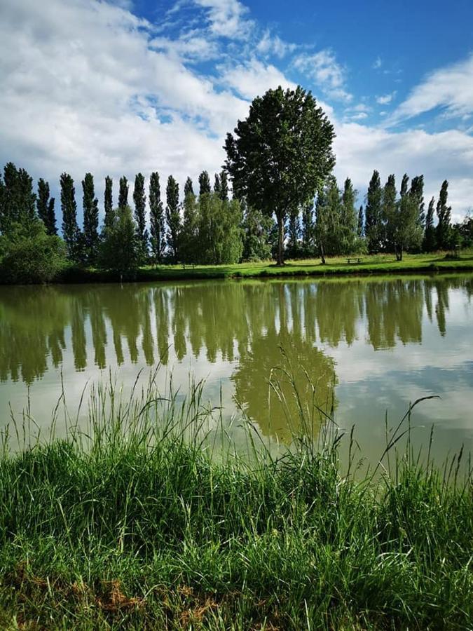 מלון Ambérieux-en-Dombes L'Oasis Des Dombes מראה חיצוני תמונה